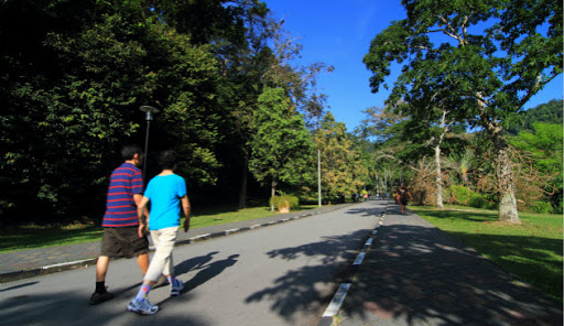 Walking Area